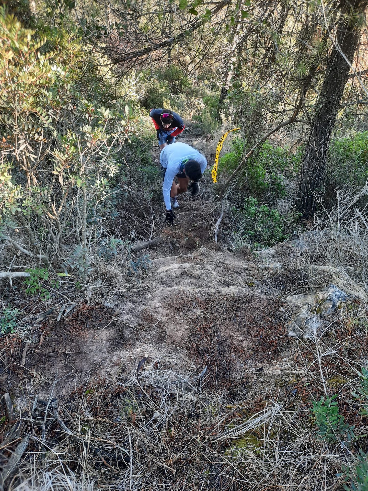Collbaix Trail — foto 20