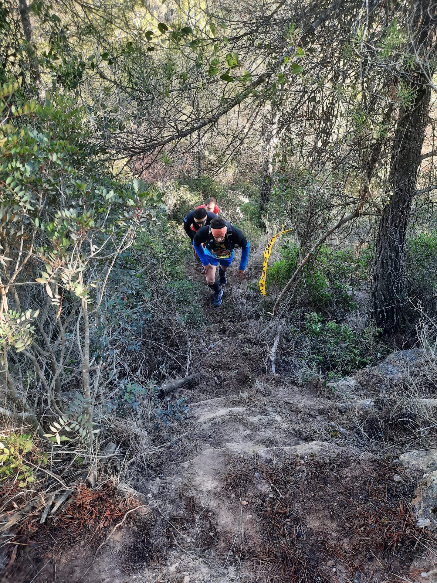 Collbaix Trail, edició 2023 — foto 2