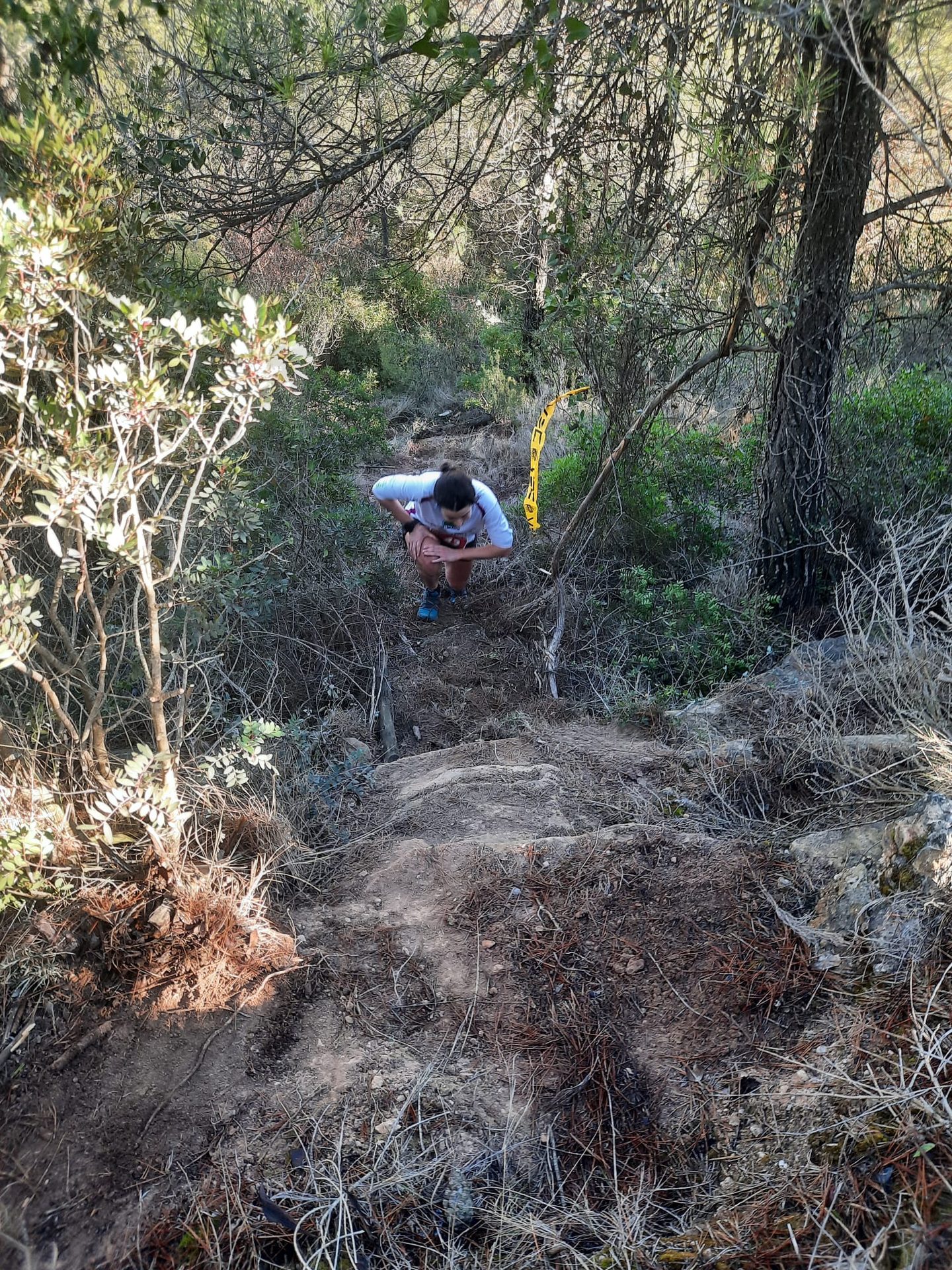 Collbaix Trail — foto 32