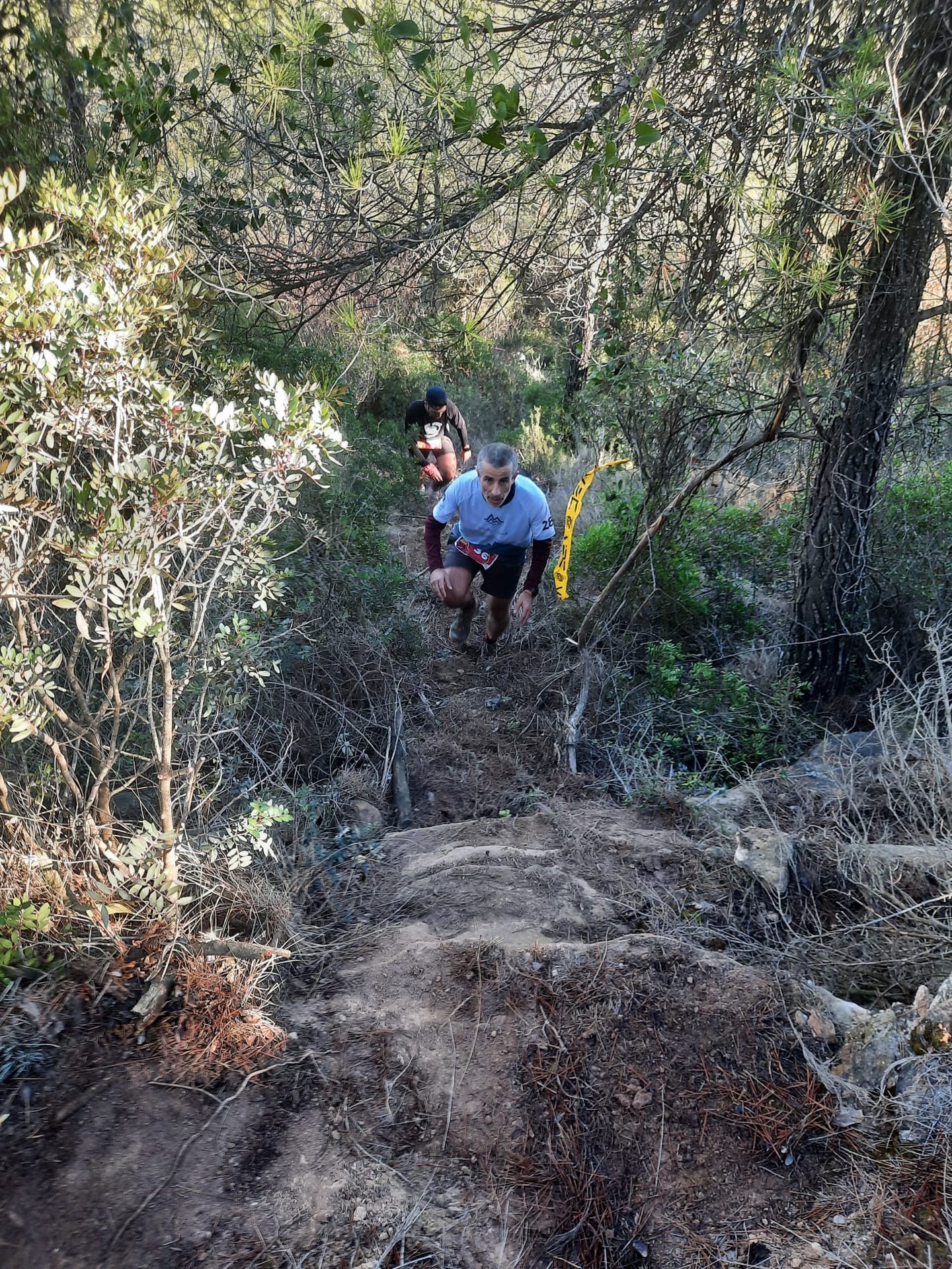 Collbaix Trail — foto 34